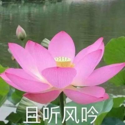 严防医保基金“跑冒滴漏”（人民时评）